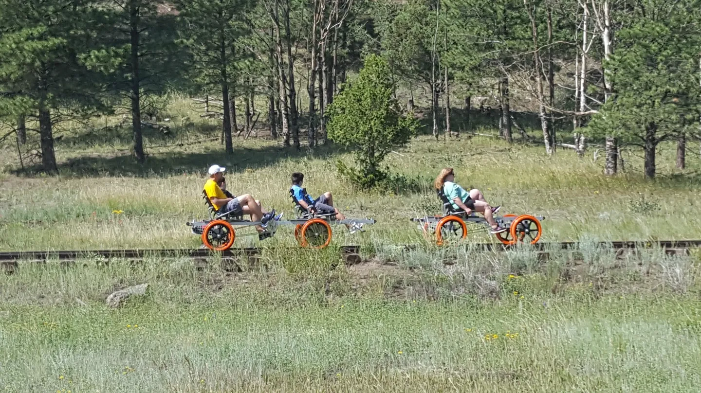 Three people riding pedal-powered rail bikes along a railway track bordered by grassy fields and pine trees.