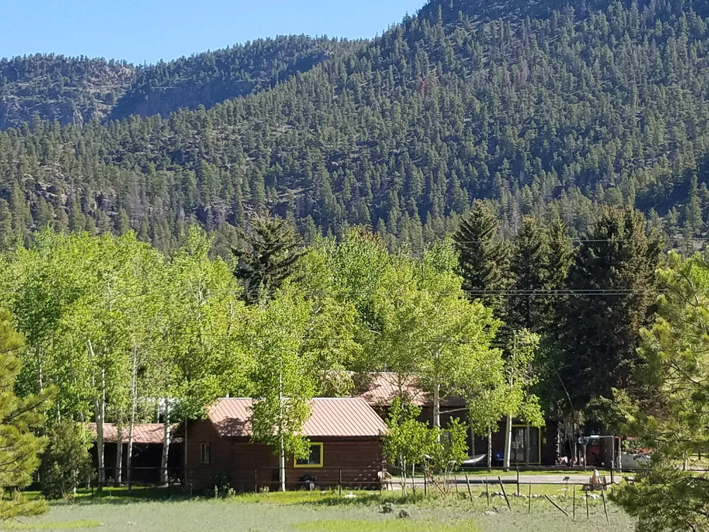 Distant view of a log cabin nestled among green trees with a steep, pine-covered mountain rising behind it.