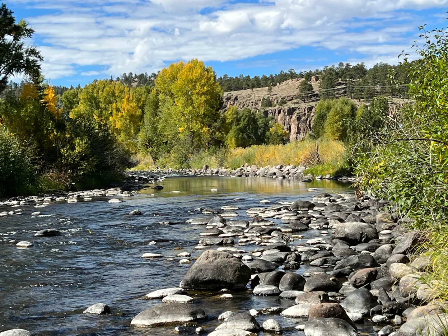 A shallow river flowing over rounded river stones with yellow autumn trees and cliffs under a blue sky.