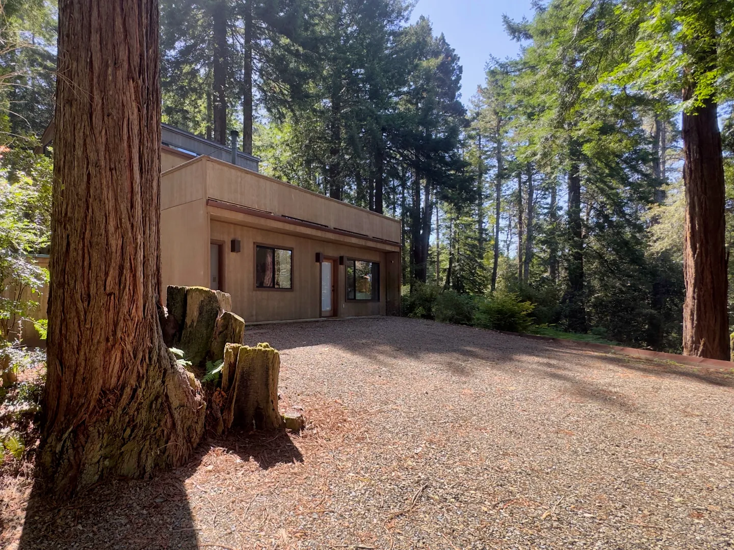 Exterior view of a modern two-story home with wood siding surrounded by tall trees and a gravel driveway.