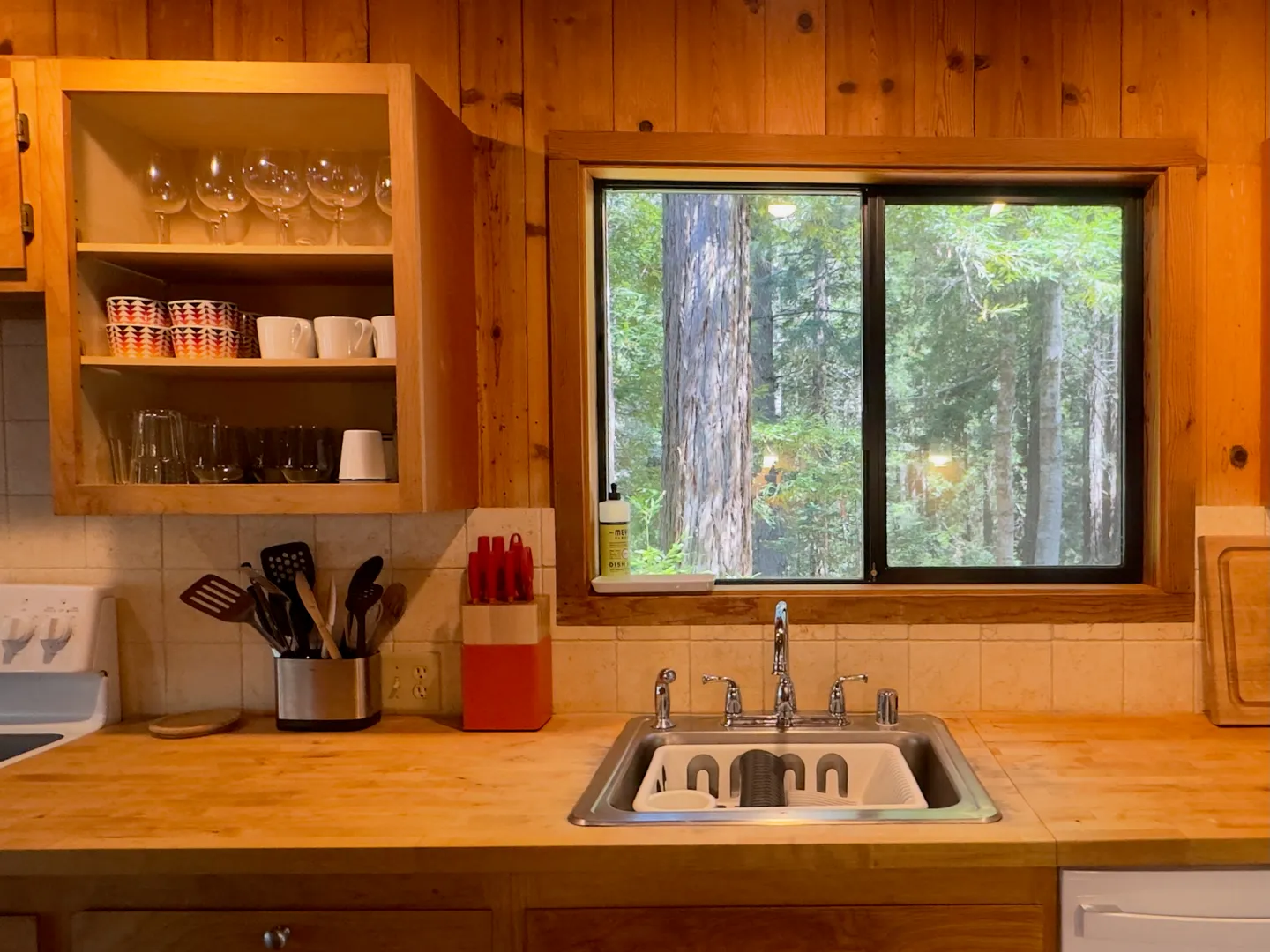 Kitchen counter and sink with wood-paneled walls and a window overlooking a forested view.