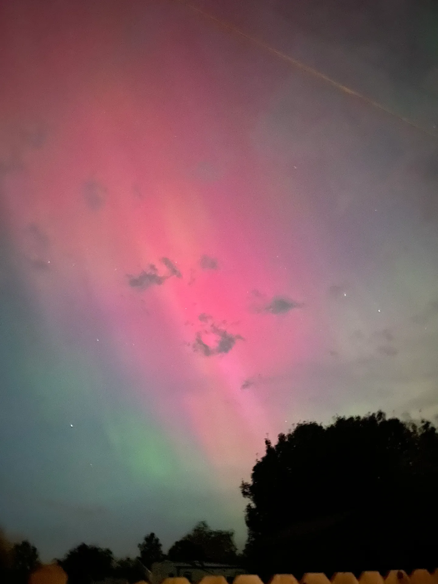 Night sky illuminated with vibrant pink and green aurora borealis above the dark silhouette of trees and a fence.