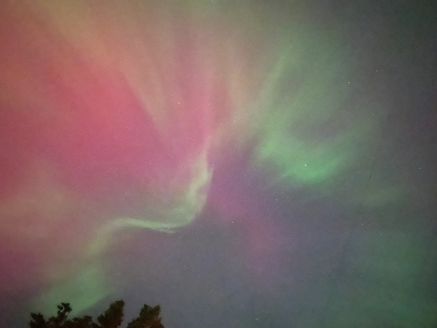 Night sky illuminated with vibrant pink, magenta, and green aurora borealis above distant tree silhouettes.