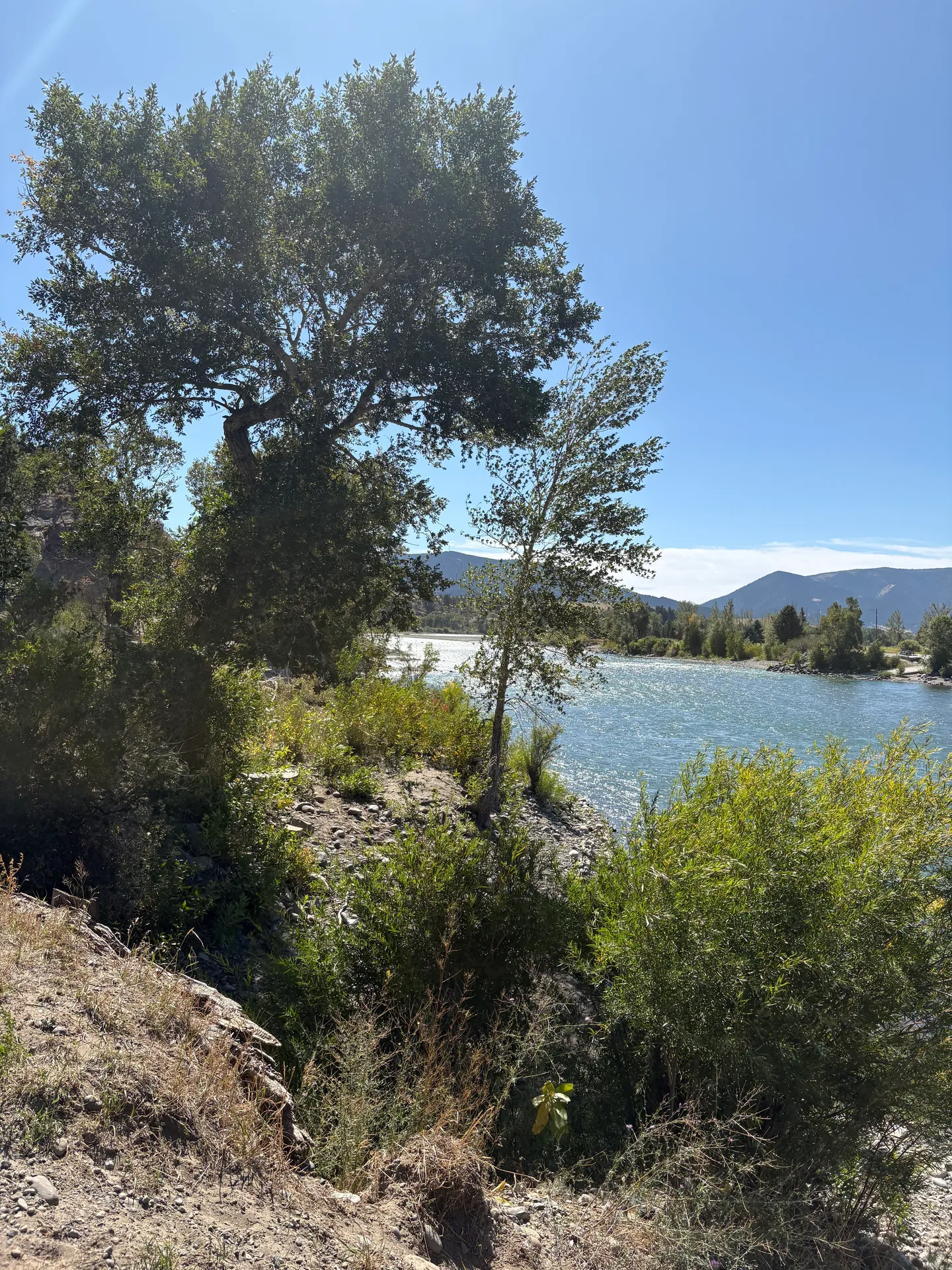 A wide flowing river bordered by trees and shrubs with mountains in the background under a blue sky.