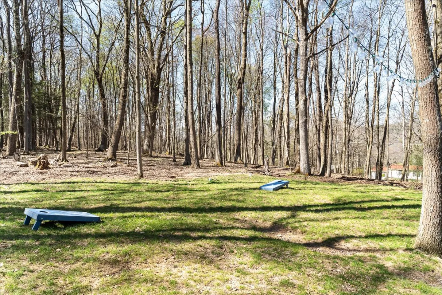 A grassy clearing with two blue cornhole boards set up against a backdrop of tall bare trees.