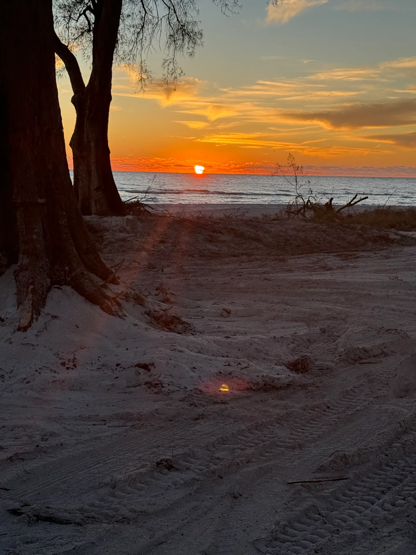 Home photo 64