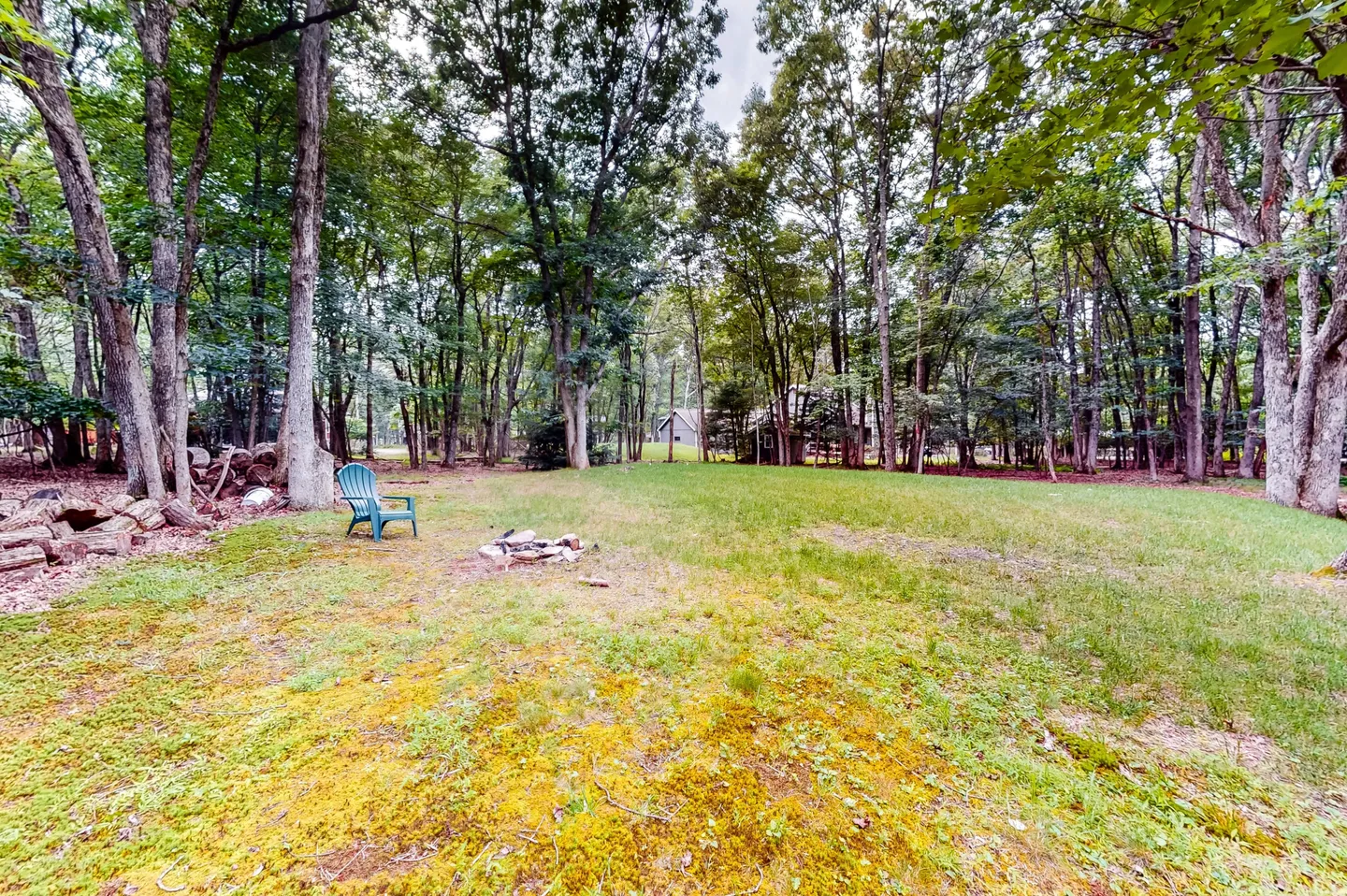 A grassy backyard surrounded by tall leafy trees with a small fire pit and a single teal chair.