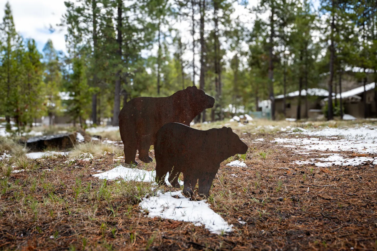 Two metal bear silhouette yard decorations stand on pine-needle ground with patches of snow among pine trees.