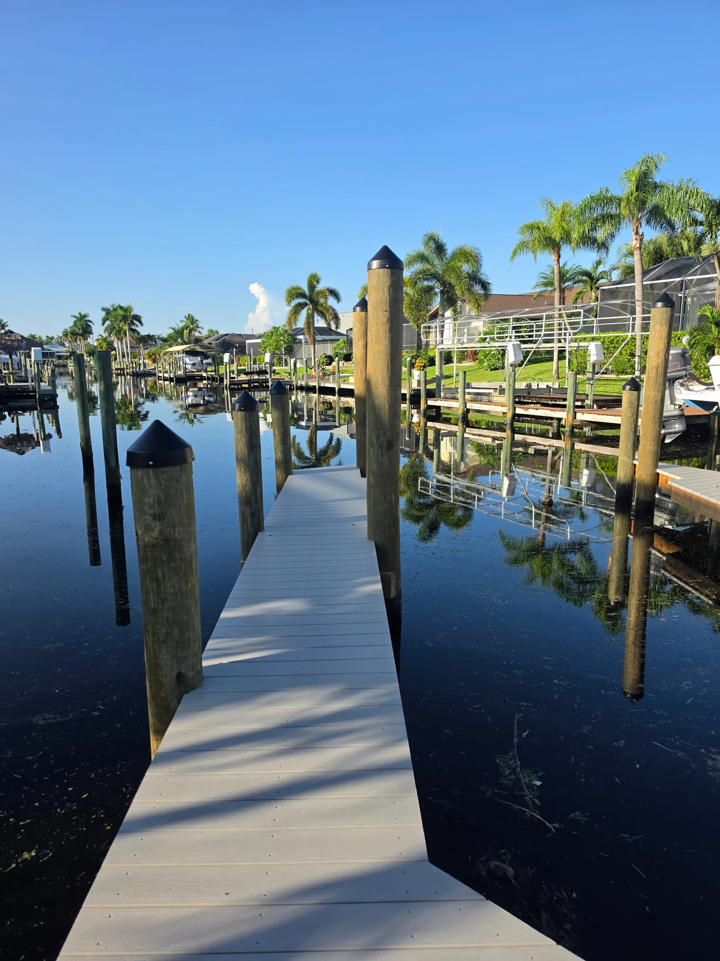 A wooden dock extending into a canal lined with palm trees and waterfront homes under a clear blue sky.