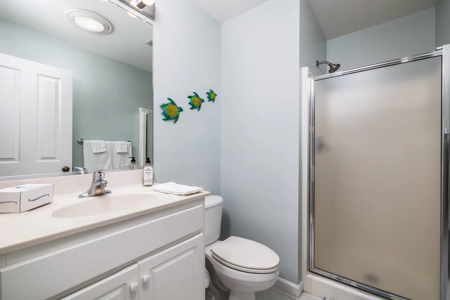 Bathroom with a white vanity, a toilet, decorative sea turtles on light blue walls, and a walk-in shower with frosted glass doors.