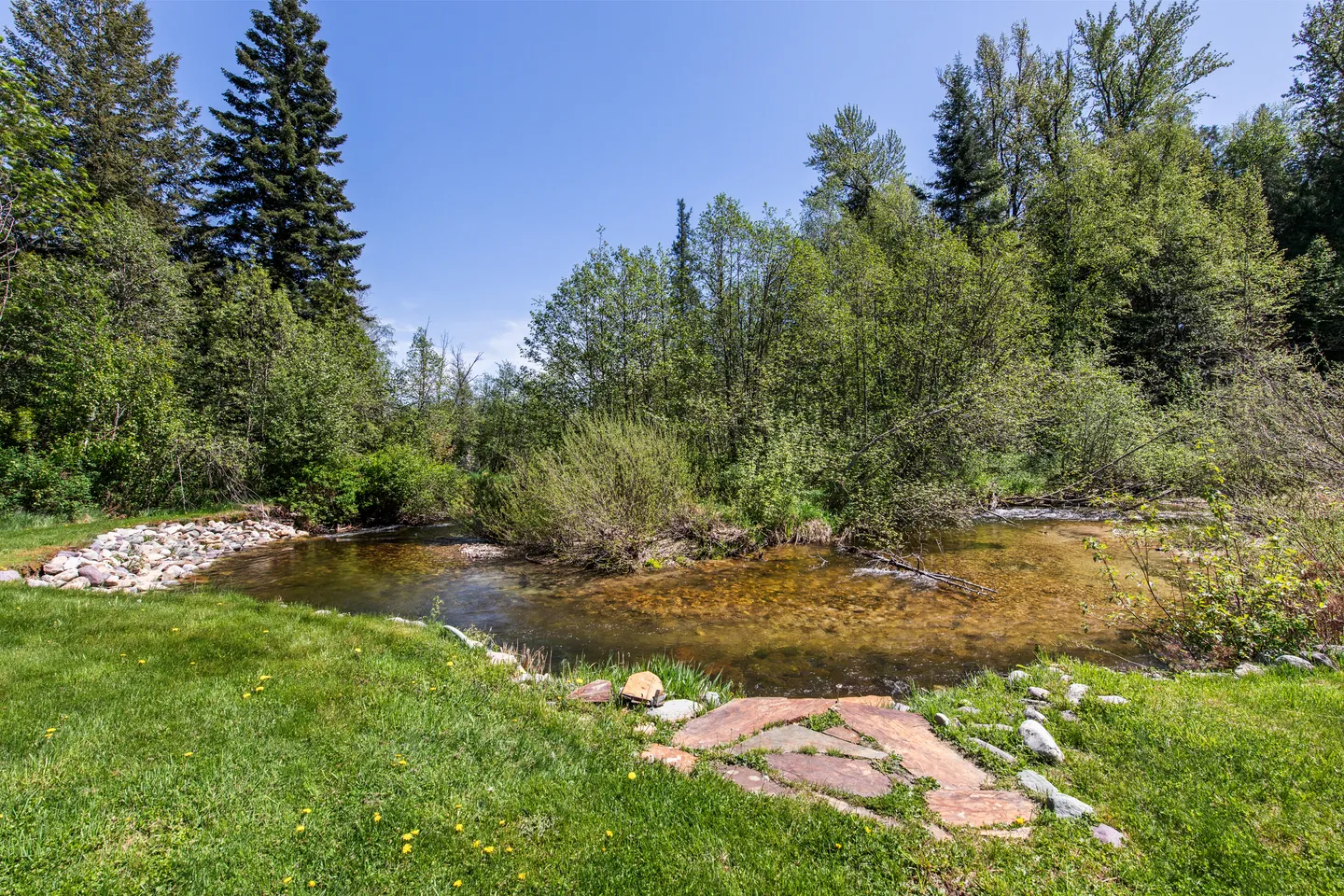 A grassy yard border along a clear, shallow creek surrounded by dense green trees under a bright blue sky.