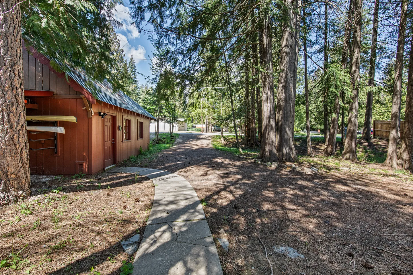 A concrete walkway leads past a red outbuilding with stored kayaks alongside tall evergreen trees and a dirt driveway.