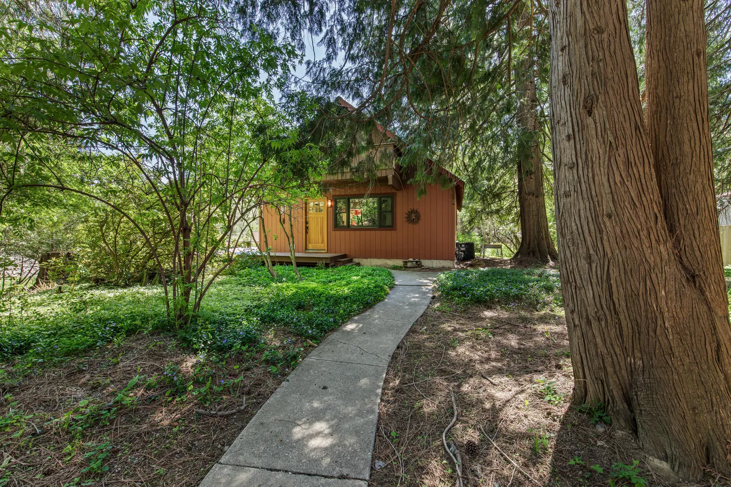 A concrete walkway leads through mature trees and lush ground cover to a rustic wood-sided cabin.