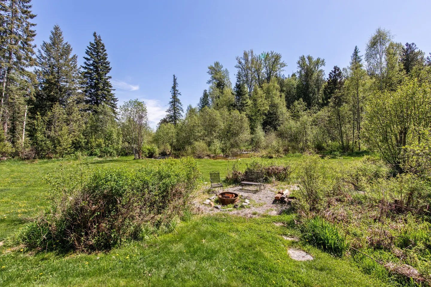 Outdoor fire pit area with seating on a grassy clearing surrounded by dense evergreen and deciduous trees under a clear blue sky.
