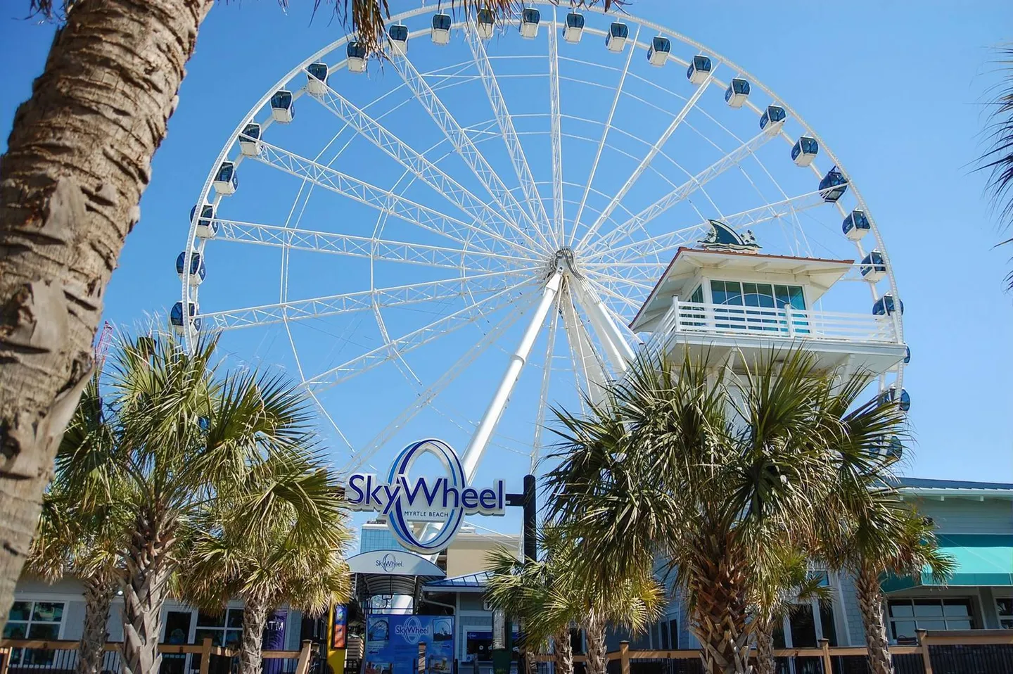 Low-angle view of the large white SkyWheel observation wheel against a clear blue sky, framed by palm trees and nearby buildings.