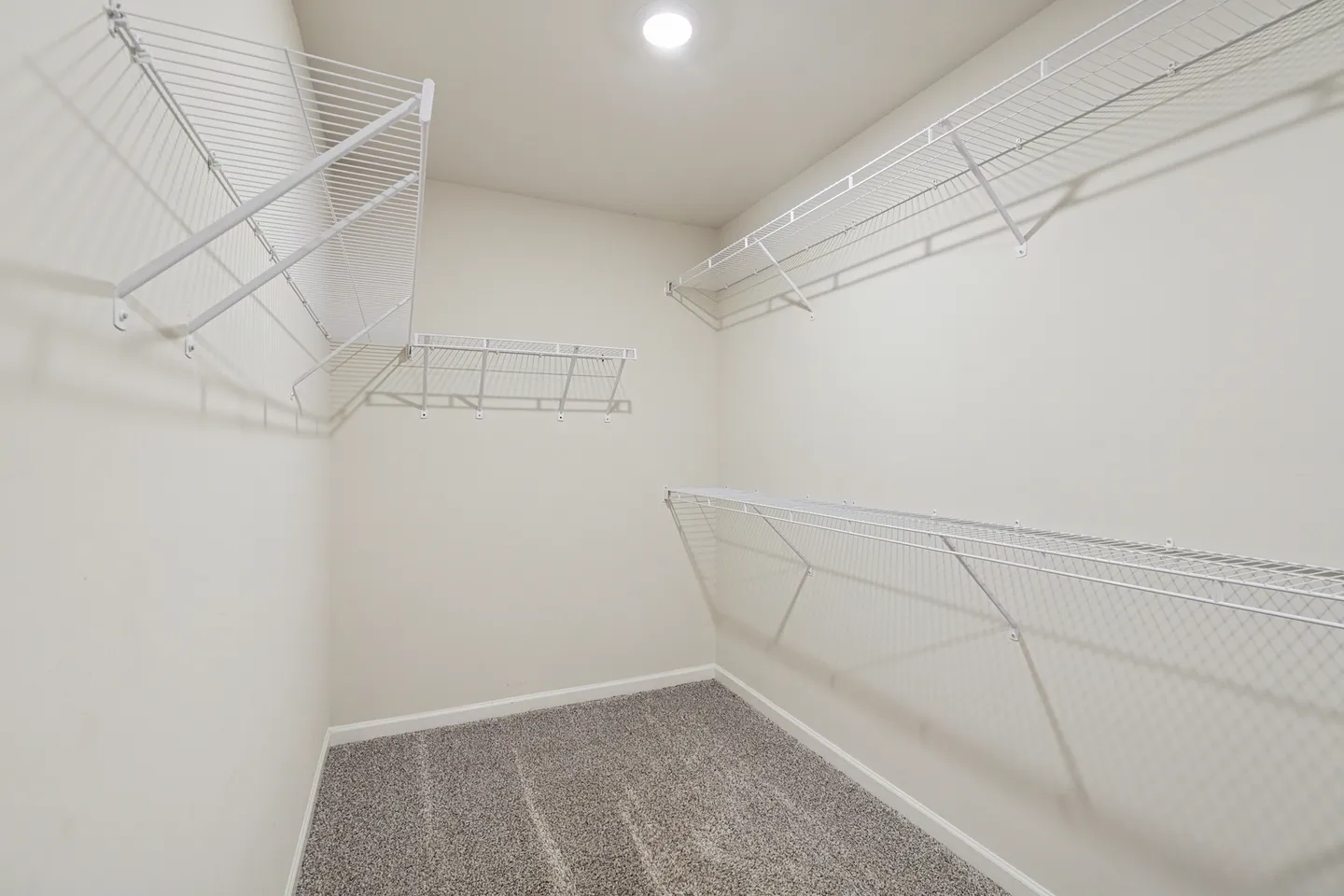 Empty walk-in closet with carpeted flooring and white wire shelving mounted along the walls.
